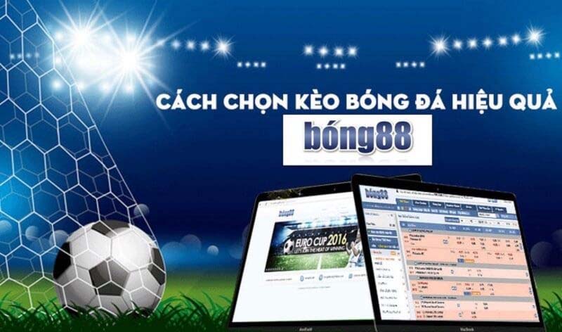 BONG88 - BONG88 - Sân chơi cá cược uy tín và chất lượng 6 bong88