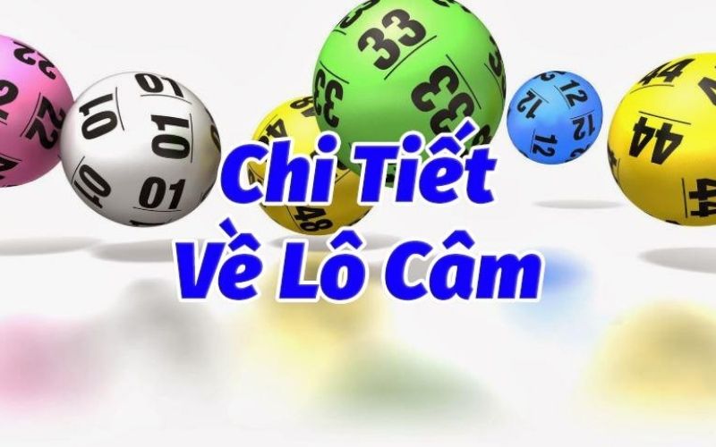 Lô câm là gì và cách chọn lô câm cho tỷ lệ trúng cao nhất 6 lô câm là gì?