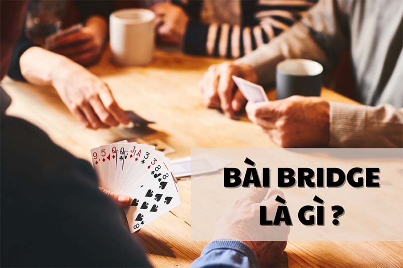 Bài bridge là gì? Hướng dẫn cách chơi bài bridge 5 cách chơi bài bridge
