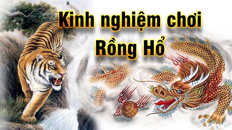 Hướng dẫn cách chơi rồng hổ luôn thắng trước mọi đối thủ kể cả 123B 7 cách chơi rồng hổ