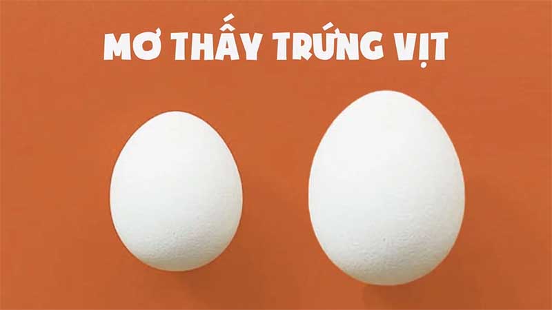 Điềm báo mơ thấy trứng vịt - Con số may mắn 5 mơ thấy trứng vịt