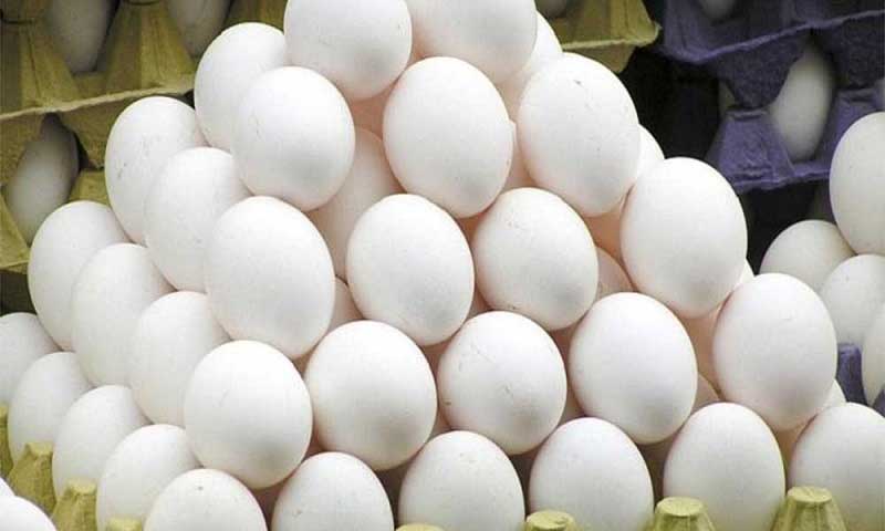 Điềm báo mơ thấy trứng vịt - Con số may mắn 6 mơ thấy trứng vịt