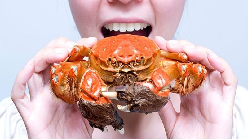 Nằm mơ thấy cua mang ý nghĩa gì? Những con số từ giấc mơ 7 nam mo thay cua